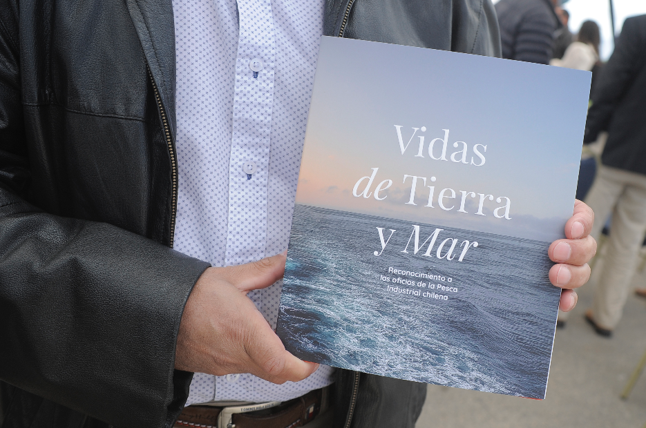 novedad