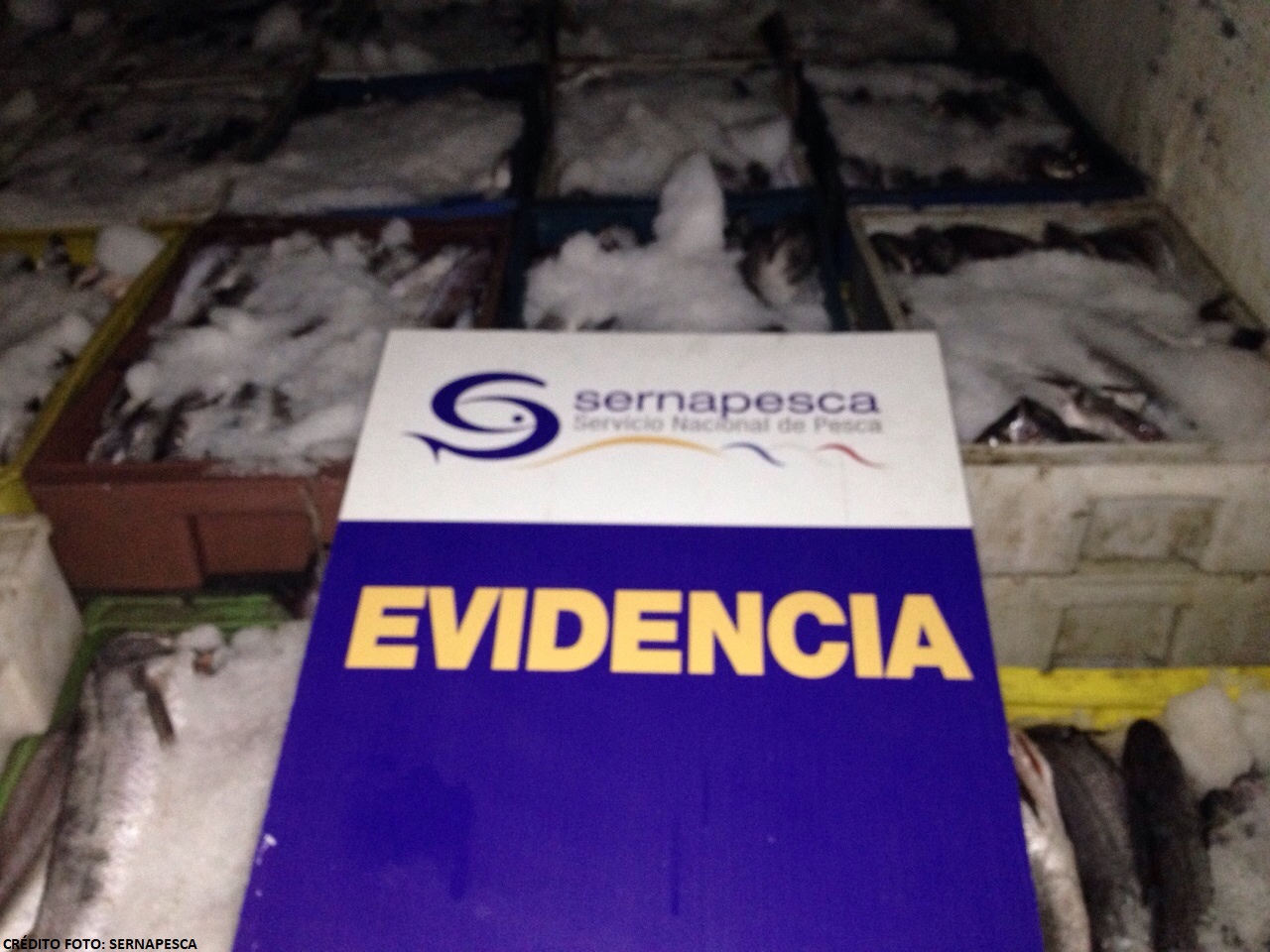 novedad