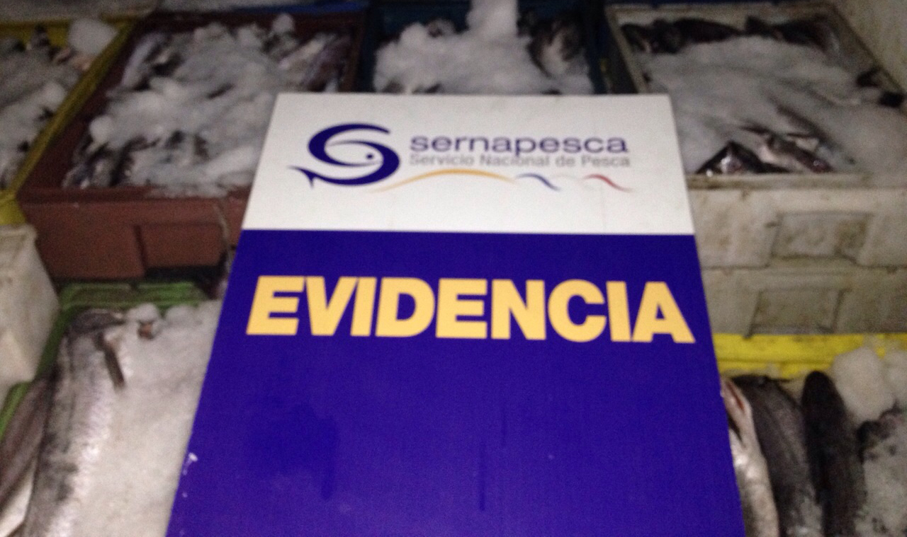novedad